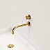 Brushed Brass