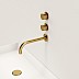Brushed Brass