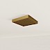 Brushed Brass