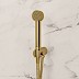 Brushed Brass