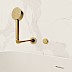 Brushed Brass