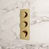 Brushed Brass