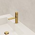 Brushed Brass